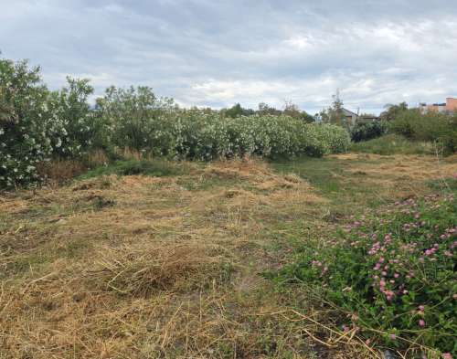 new property image