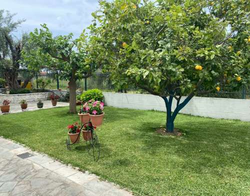 new property image